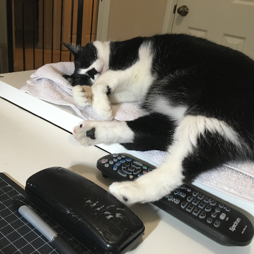 New Project – 2025-05-05T170015.256